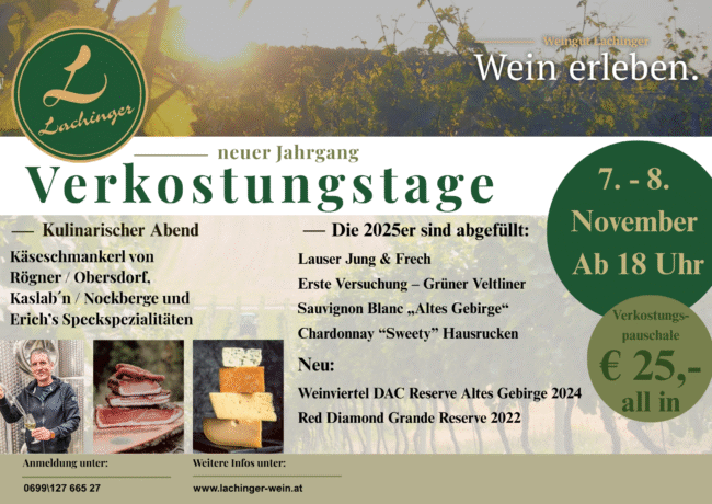 Verkostungstage 2025
