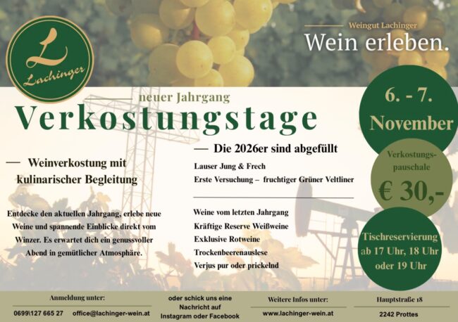Verkostungstage 2026_1